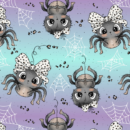 Spinne Lilaverlauf