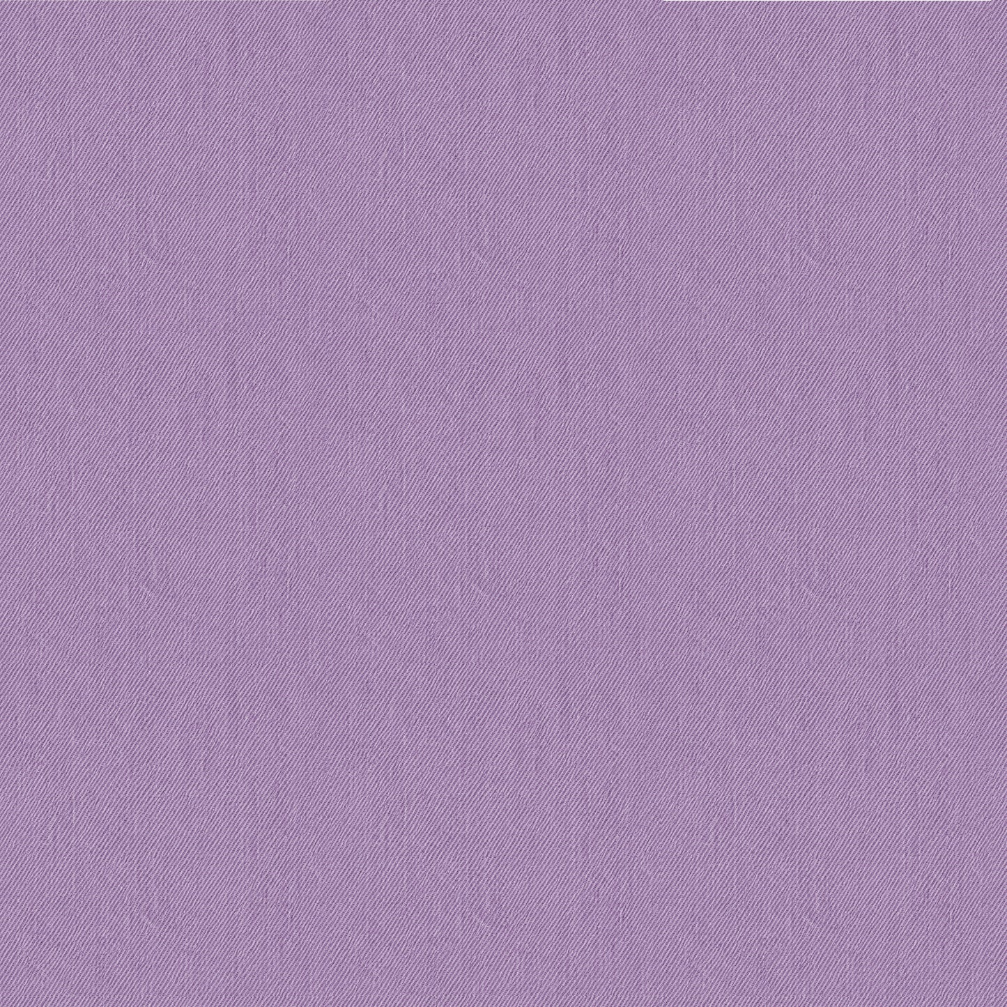 Spinne Denim